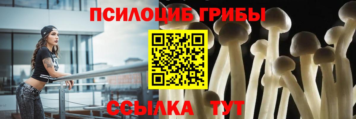Псилоцибиновые грибы мухоморы Тутаев